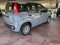 Fiat Panda 1.0fireflyhybridCityLife70cv5p.tiivaes Grigio - thumbnail 3