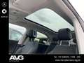smart #1 #1 Pro+ (66kWh)  Navi/Pano.-Dach/Keyless-Start/LED Grün - thumbnail 13