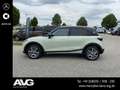 smart #1 #1 Pro+ (66kWh)  Navi/Pano.-Dach/Keyless-Start/LED Grün - thumbnail 6