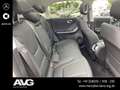 smart #1 #1 Pro+ (66kWh)  Navi/Pano.-Dach/Keyless-Start/LED Grün - thumbnail 18