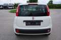 Fiat Panda Easy Klima 1.Hand Service/HU neu Weiß - thumbnail 5