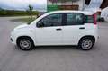 Fiat Panda Easy Klima 1.Hand Service/HU neu Weiß - thumbnail 7