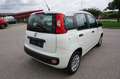 Fiat Panda Easy Klima 1.Hand Service/HU neu Weiß - thumbnail 4