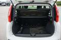 Fiat Panda Easy Klima 1.Hand Service/HU neu Weiß - thumbnail 18