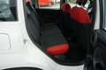 Fiat Panda Easy Klima 1.Hand Service/HU neu Weiß - thumbnail 13