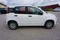 Fiat Panda Easy Klima 1.Hand Service/HU neu Weiß - thumbnail 8