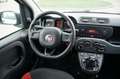 Fiat Panda Easy Klima 1.Hand Service/HU neu Weiß - thumbnail 9