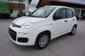 Fiat Panda Easy Klima 1.Hand Service/HU neu Weiß - thumbnail 1