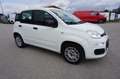 Fiat Panda Easy Klima 1.Hand Service/HU neu Weiß - thumbnail 3