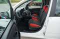 Fiat Panda Easy Klima 1.Hand Service/HU neu Weiß - thumbnail 10