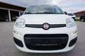 Fiat Panda Easy Klima 1.Hand Service/HU neu Weiß - thumbnail 2