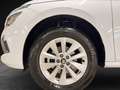 Skoda Kamiq 1.0 tsi Selection 95cv PREZZO REALE Bianco - thumbnail 19