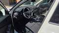 Nissan Juke 1.0 DIG-T 114 CV Acenta Iva Bianco - thumbnail 11