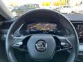 Skoda Octavia Combi 2,0 TDI First Edition | STANDHZ Schwarz - thumbnail 16