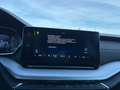 Skoda Octavia Combi 2,0 TDI First Edition | STANDHZ Schwarz - thumbnail 21