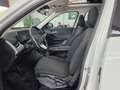 BMW X1 xDrive25eA Blanco - thumbnail 24