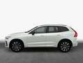 Volvo XC60 XC60 B4 D AWD Plus Dark Weiß - thumbnail 4