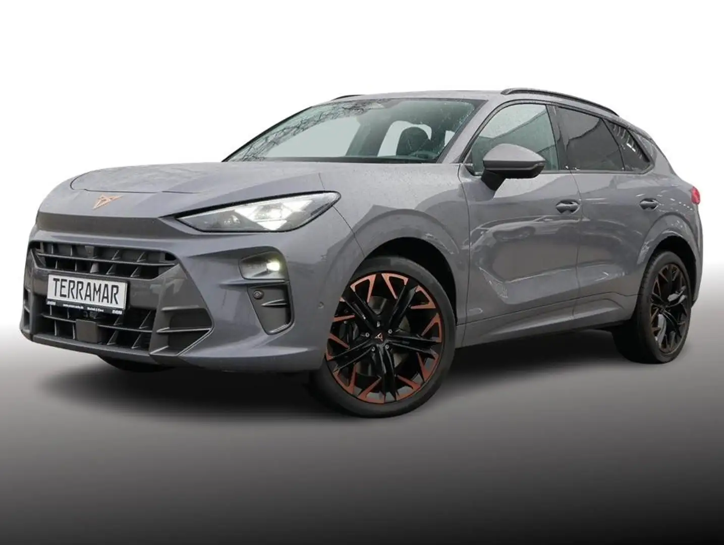 CUPRA Terramar 2.0 TSI 4DRIVE DSG AHK+PANORAMAD+MATRIX Grau - 2