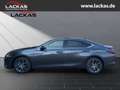 Lexus ES 300 *h*BUSINESS*SOFORT*SCHIEBEDACH*15J-GARANTIE* Szary - thumbnail 2