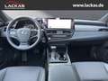 Lexus ES 300 *h*BUSINESS*SOFORT*SCHIEBEDACH*15J-GARANTIE* Szary - thumbnail 13