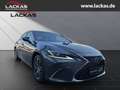 Lexus ES 300 *h*BUSINESS*SOFORT*SCHIEBEDACH*15J-GARANTIE* Szary - thumbnail 6