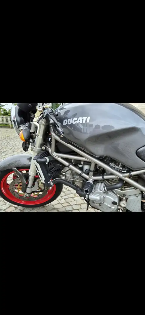 Ducati Monster S4R Pot Termignoni Grijs - 1