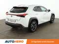 Lexus UX 250h UX 250h Style Edition Aut.*ACC*PDC*ALU*CAM* Weiß - thumbnail 6