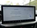 Ford Kuga 2.5 PHEV 243PK Titanium | PANORAMADAK | STOEL+STUU Grijs - thumbnail 17