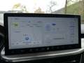 Ford Kuga 2.5 PHEV 243PK Titanium | PANORAMADAK | STOEL+STUU Grijs - thumbnail 14