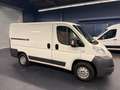 Fiat Ducato Kasten L1-H1 Kamera Navi 1.Hand HU&AU NEU Blanc - thumbnail 4