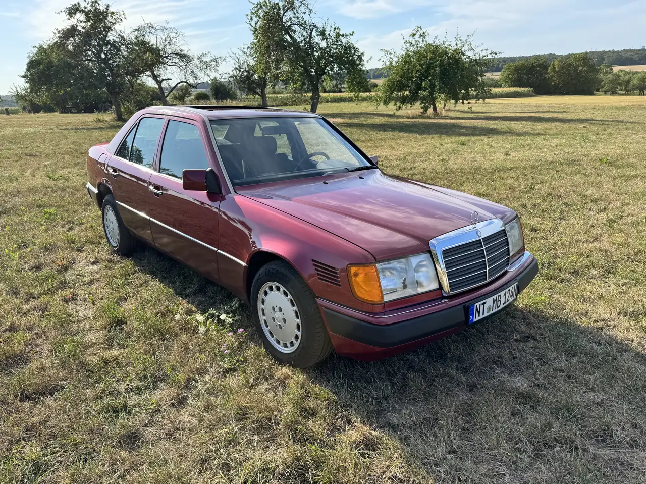 Mercedes-Benz 250 W124 250 D kein Turbodiesel, foto 2