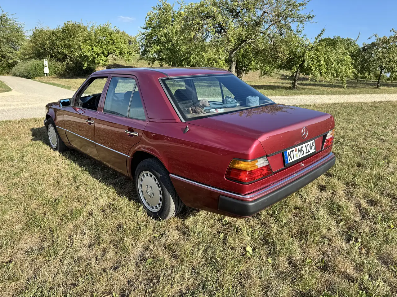 Mercedes-Benz 250 W124 250 D kein Turbodiesel, foto 4