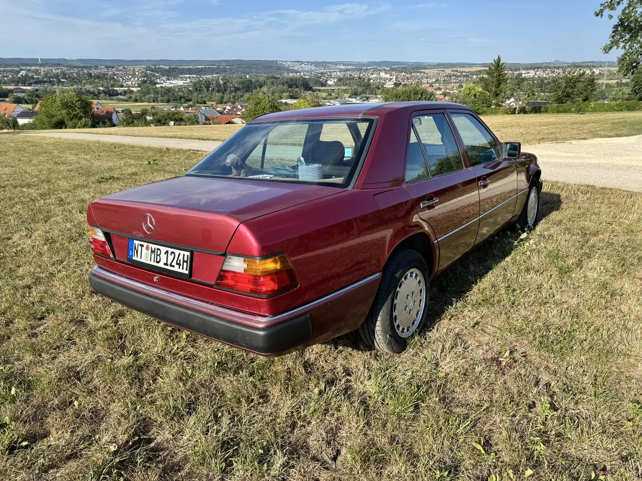 Mercedes-Benz 250 W124 250 D kein Turbodiesel, foto 3