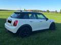 MINI Cooper D F55 Pepper Weiß - thumbnail 7