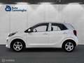 Kia Picanto 1.0 DPi ComfortLine Bianco - thumbnail 2
