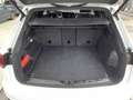 Volkswagen Touareg 3.0 V6 TDI R-Line 4Motion Navi AHK IQ.LI Weiß - thumbnail 4