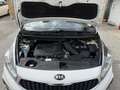 Kia Carens 1.7CRDi VGT Eco-Dynamics Concept Blanco - thumbnail 22