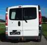 Nissan Primastar Primastar Kombi L1H1 2,0 DCI90 2,8t comfort comfort Weiß - thumbnail 6