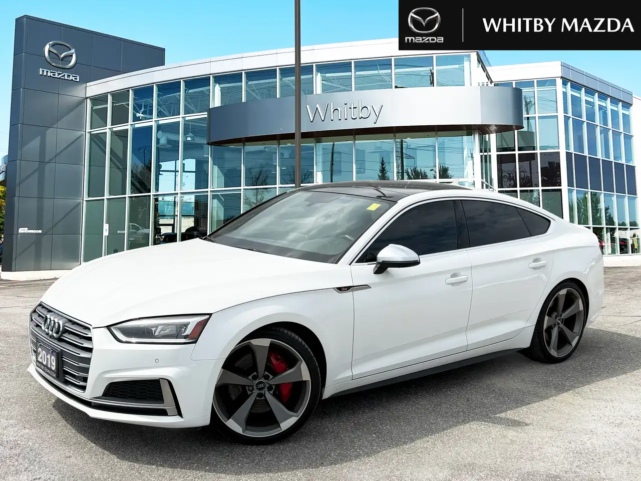 2019 Audi S5