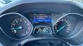 Ford Focus 125pk Titanium CLIMA | CRUISE CONTROL | VOORRUIT V Schwarz - thumbnail 21