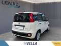 Fiat Panda 1.0 70cv Hybrid Panda Weiß - thumbnail 4