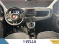 Fiat Panda 1.0 70cv Hybrid Panda Weiß - thumbnail 8