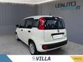 Fiat Panda 1.0 70cv Hybrid Panda Weiß - thumbnail 5