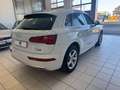 Audi Q5 2.0 TDI 190 CV quattro S tronic Business Sport Bianco - thumbnail 7