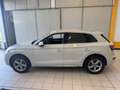 Audi Q5 2.0 TDI 190 CV quattro S tronic Business Sport Bianco - thumbnail 4