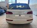 Audi Q5 2.0 TDI 190 CV quattro S tronic Business Sport Bianco - thumbnail 6