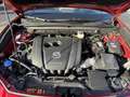 Mazda CX-30 SKYACTIV-G 2.0 M Hybrid Rosso - thumbnail 13