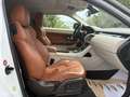 Land Rover Range Rover Evoque Coupe 2,2 SD4 Prestige Aut. 1.Besitz Servicebuch Weiß - thumbnail 30