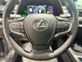 Lexus UX 200 UX 2019 250h 2.0 Business 2wd cvt Grigio - thumbnail 9