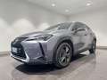 Lexus UX 200 UX 2019 250h 2.0 Business 2wd cvt Grigio - thumbnail 1